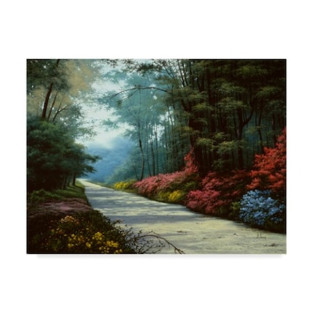 Anthony Casay 'Garden Path' Canvas Art,35x47